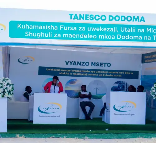 Dodoma Expo Company Showcase (2)