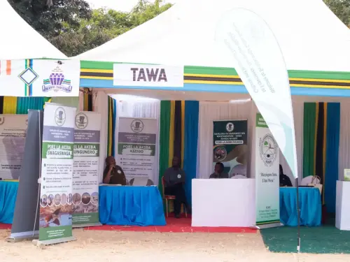 Dodoma Expo Company Showcase (4)